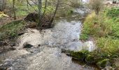 Trail Walking Clervaux - Clervaux Abbaye et Mecher 10 km boucle - Photo 5