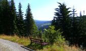 Trail On foot Weidenberg - Sophienthal Rundwanderweg Nr. 2 - Photo 7