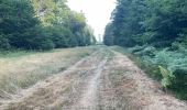 Percorso Marcia Villers-Cotterêts - en Forêt de Retz_95_07_2025_autour de l'Allée Royale - Photo 8