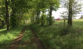 Trail Walking Fauvillers - Tintange3 - Photo 1