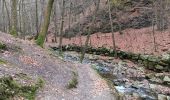 Trail Walking Aywaille - sedoz - vert-buisson (via ninglinspo) - porallée - vieux chera - sedoz - Photo 19