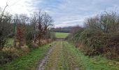 Tocht Stappen Villedômer - Villedomer - Étang de l'Arche - Photo 5