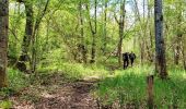 Excursión Senderismo Milly-la-Forêt - Boucle Milly la Forêt - Vaudoué via les 3 pignons et les bords de l'école - Photo 1