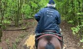 Trail Horseback riding Favières - Favieres mai 2024 yoigo kaline  - Photo 8