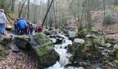 Randonnée Marche Aywaille - Ninglinspo en joelette - Photo 10