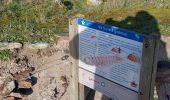 Excursión Senderismo Quiberon - PR_56_Quiberon_BA_02_Cote-Baie_Circuit1b_20230102 - Photo 10