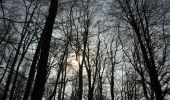 Tour Wandern Lyons-la-Forêt - 20220326-L'Essart Mador - Photo 5
