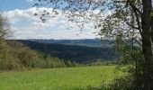 Tocht Stappen Manhay - rando avec Thérèse et Pascale  - Photo 5