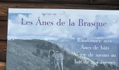 Randonnée Marche Lantosque - Granges de la Brasque  - Photo 8