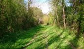 Trail Walking Mareuil-sur-Cher - Mareuil-sur-Cher - les Sables GR41 et PR - 15.7km 240m 4h00 - 2022 04 22 - Photo 7