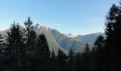 Tocht Te voet Lozzo di Cadore - Anello di Valzalina - Photo 1