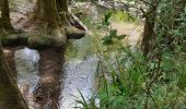 Randonnée Marche Mazaugues - Saut du Cabri gorges du Carami - Photo 10