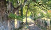 Tocht Stappen Jourgnac - puy de banneix  - Photo 3