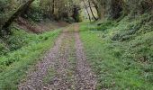 Tour Wandern Cazaubon - tour des Barbotan les Thermes  - Photo 3