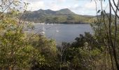 Tour Wandern Les Anses-d'Arlet - Grande Anse-Cap Salomon boucle en Q - Photo 11