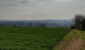 Trail Walking Boran-sur-Oise - randonnée de precy entre campagne et le long de l oise - Photo 7