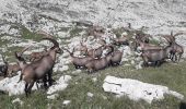 Excursión Marcha nórdica Villard-de-Lans - Deux Soeurs - Photo 15