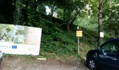 Percorso Corsa a piedi Etsaut - ETSAUT Chemin de la mâture col d Arras - Photo 11