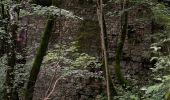 Tour Zu Fuß Aschau im Chiemgau - Wanderweg 26 - Auf die Hochries - Photo 1