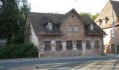 Tour Zu Fuß Unknown - Erlenstegener Rundweg - Photo 4