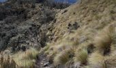 Trail Walking Sayausí - Laguna Toreadora - Sendero 1 - Photo 17