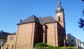 Tour Zu Fuß Buchen (Odenwald) - Rundwanderweg Waldhausen 4 Ortsrunde - Photo 3