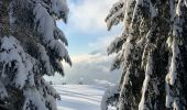 Tour Schneeschuhwandern Saint-Jean-de-Sixt - Le panorama du Danay (14) - Photo 9