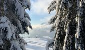 Trail Snowshoes Saint-Jean-de-Sixt - Le panorama du Danay (14) - Photo 9