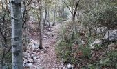 Excursión Senderismo Puyloubier - Puyloubier - Hermitage de St. Ser- Col de Vauvenarguse - Pic des mouches - Puyloubier - Photo 16