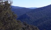 Tour Wandern Pierrefeu-du-Var - Pierrefeu-la citadelle-17-02-21 - Photo 4