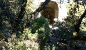 Trail Walking La Roquebrussanne - la roquebrussanne - Photo 1
