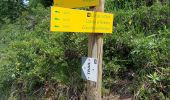 Trail Walking Pralognan-la-Vanoise - Pralognan - la crête du mont Charvet - Photo 19