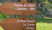 Trail Walking Cipières - Cipieres : le grand Pounch - Photo 13