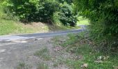 Trail Trail Sainte-Anne - Belle mare  - Photo 2