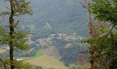 Tocht Stappen Sewen - Circuit lac d'alfeld / ballon d'Alsace  - Photo 15