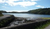 Trail On foot West Cork - Walk 5 - Lough Hyne (7km) - Photo 1