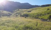 Trail Walking Seyne - SEYNES LES ALPES . Grand puy , montagne de la Blache , cabane du Mulet o l s - Photo 13