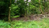 Trail Walking Montgobert - en forêt de Retz_83_les Champs Mentard_le Fond d'Argent - Photo 20