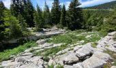 Tour Wandern Saint-Pierre-d'Entremont - La Croix de l’Alpe 10,7 km - Photo 5