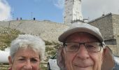 Tocht Stappen Bédoin - Ventoux - Photo 1