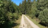 Trail Walking Waimes - Ondenval  - Photo 8