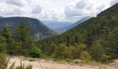 Randonnée V.T.T. Thorame-Basse - Col de Seoune Lambruisse - Photo 13