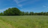 Tour Zu Fuß Märkische Heide - Wanderweg Dürrenhofe-Kuschkow-Pretschen - Photo 1