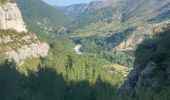 Tour Wandern Gorges du Tarn Causses - Camping les osiers fraissinet par les moines -moujiks - Photo 11