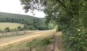 Tour Wandern Assesse - Sorinne la longue - faux les tombes - Gesves  - Photo 1