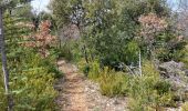 Trail Walking Flassan - Le trèfle des Grangeons - Photo 3
