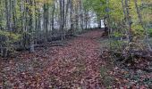 Tocht Stappen Vouthon-Haut - errance dans bois de Vaudeville le - Photo 4