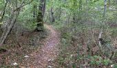 Trail Walking Aubaine - Crepey - Photo 7