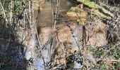 Trail Walking Virieu-le-Grand - cascade de Clairefontaine - Photo 1