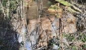 Randonnée Marche Virieu-le-Grand - cascade de Clairefontaine - Photo 1